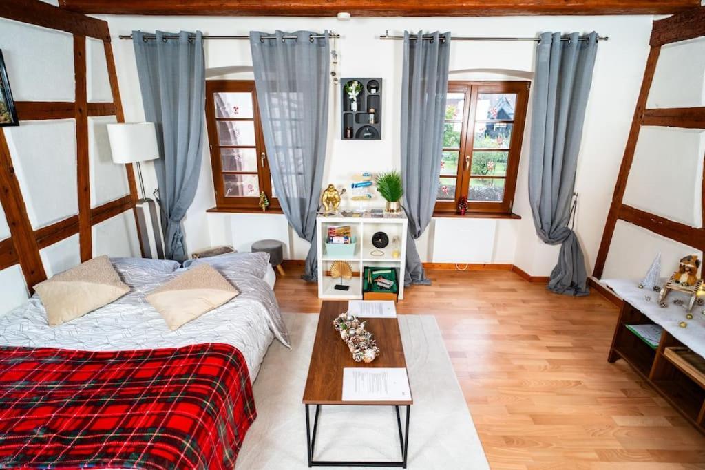 Refuge Des Vignerons - Turckheim Apartamento Exterior foto