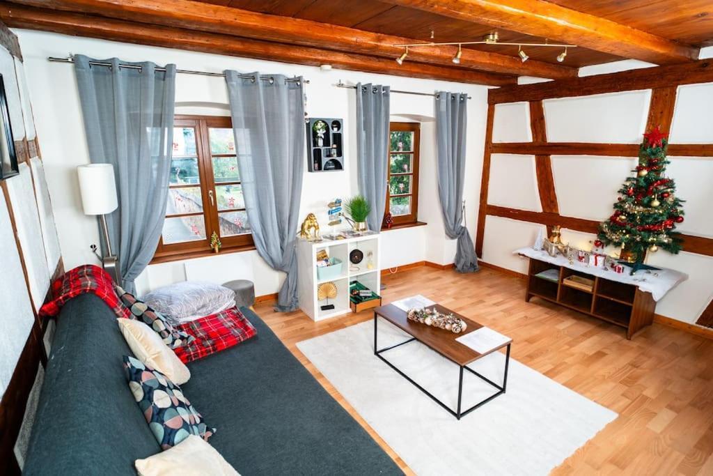 Refuge Des Vignerons - Turckheim Apartamento Exterior foto